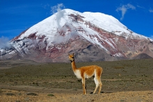 Tour Ecuador Andes - Costa